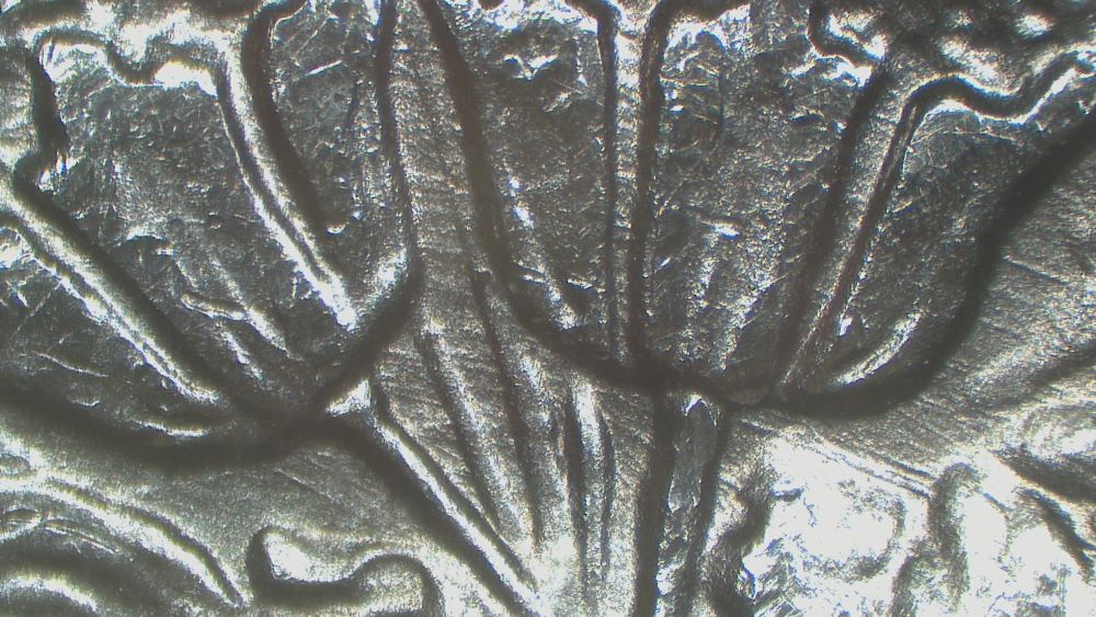 Image 18