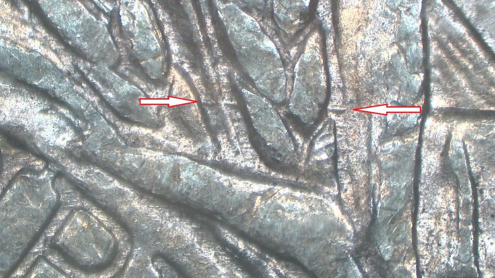 Image 13