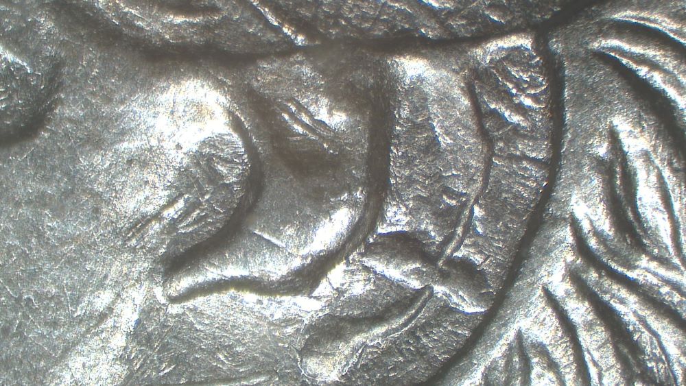 Image 15