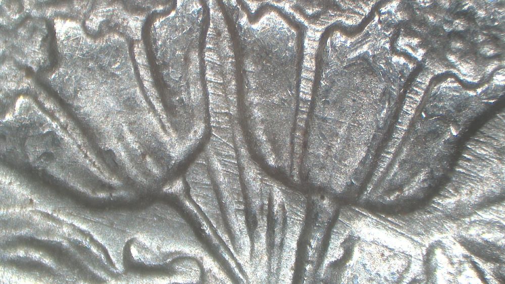 Image 15