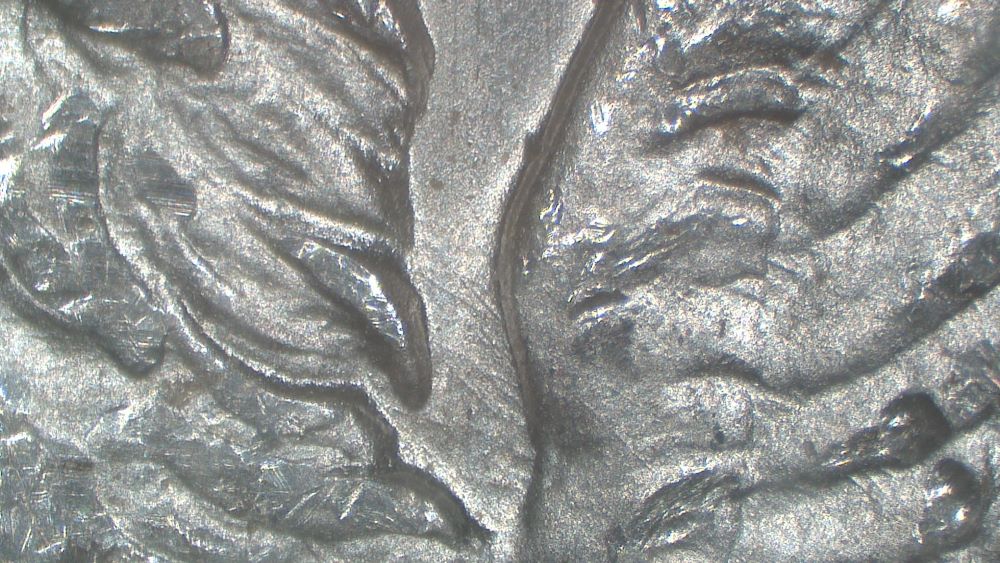 Image 14