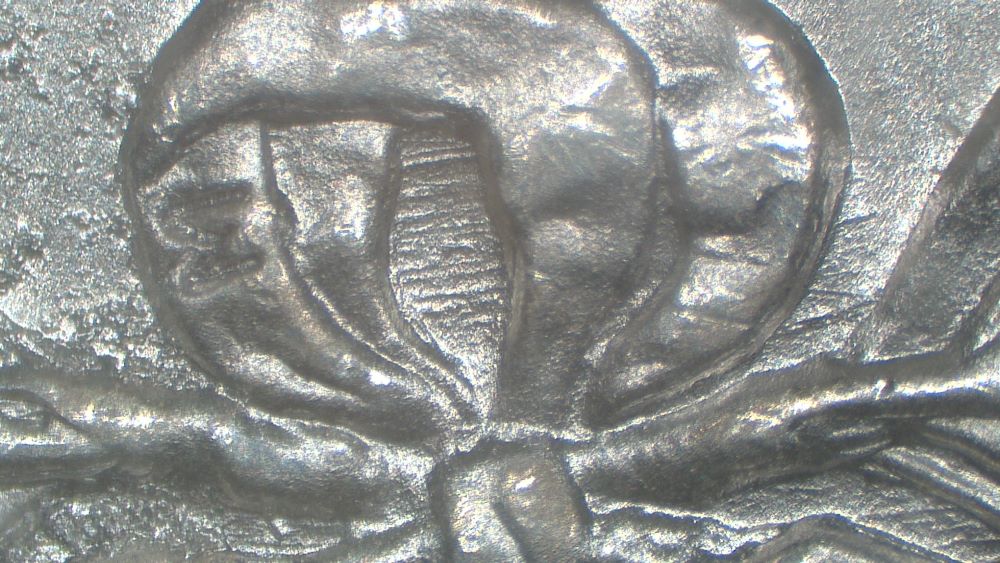 Image 17