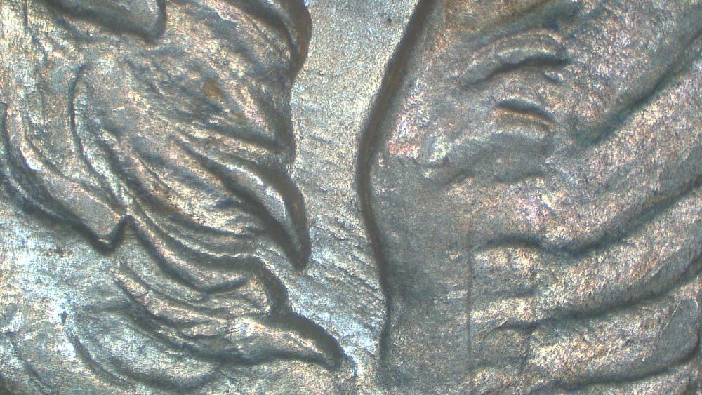 Image 13