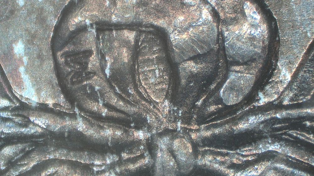 Image 10