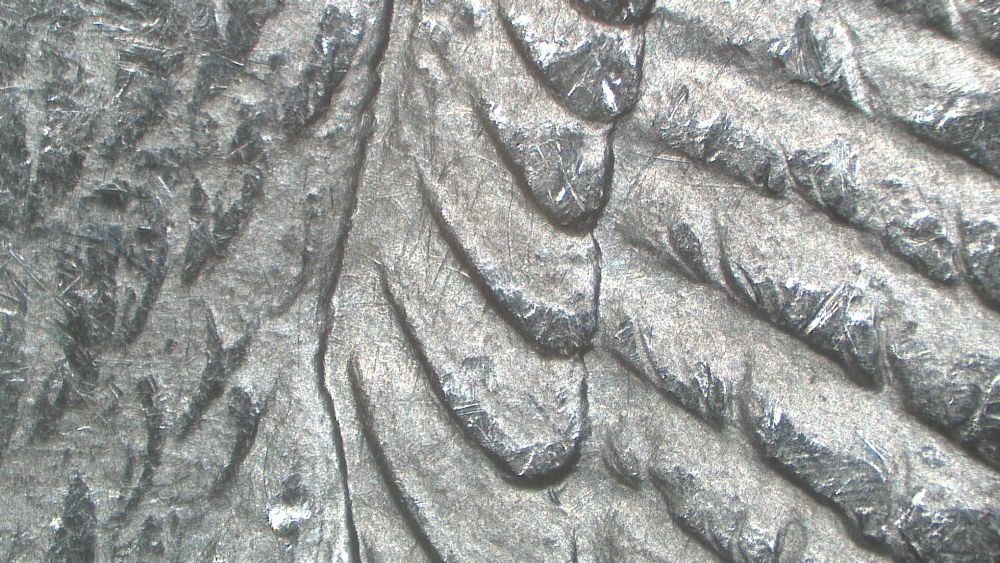 Image 21