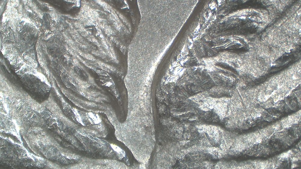 Image 13