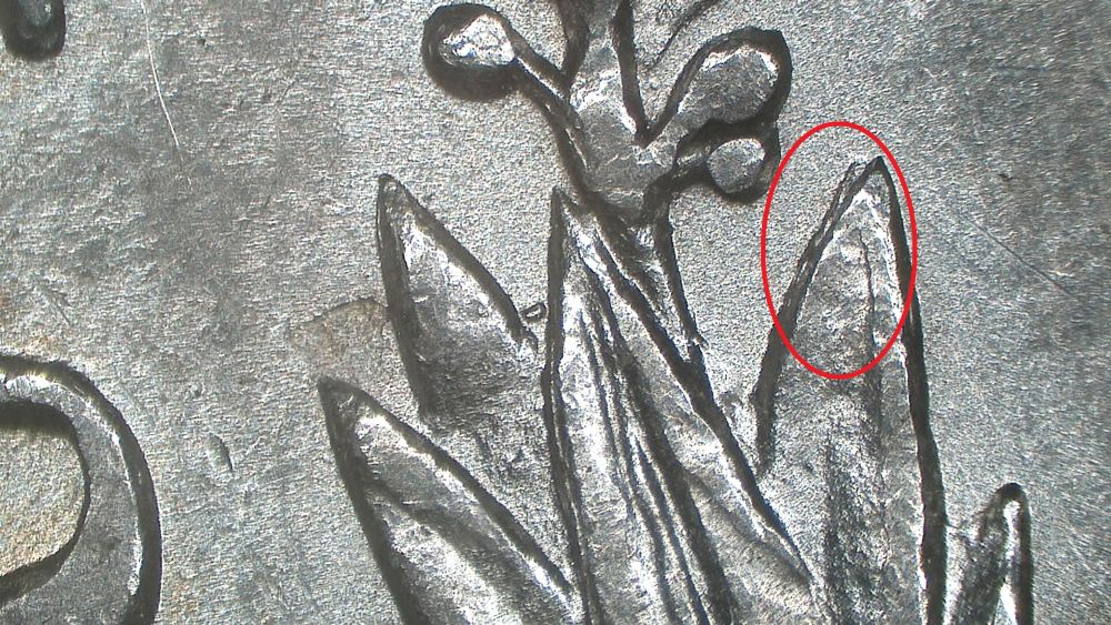 Image 13