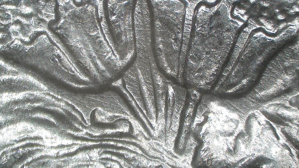 Image 14