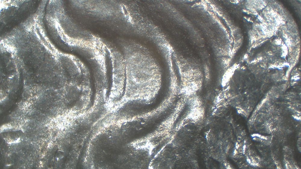 Image 16