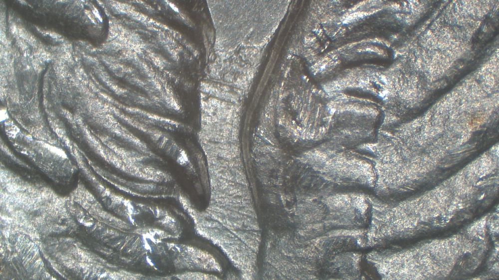 Image 13