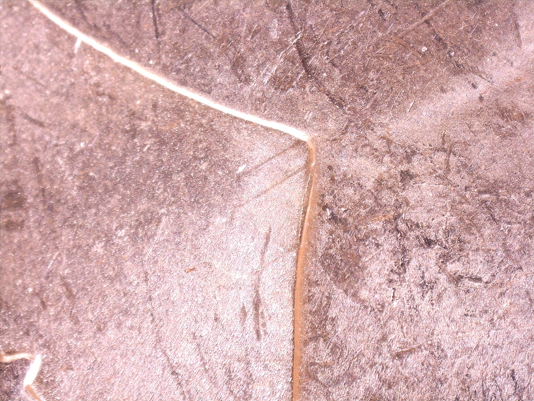 Image 16