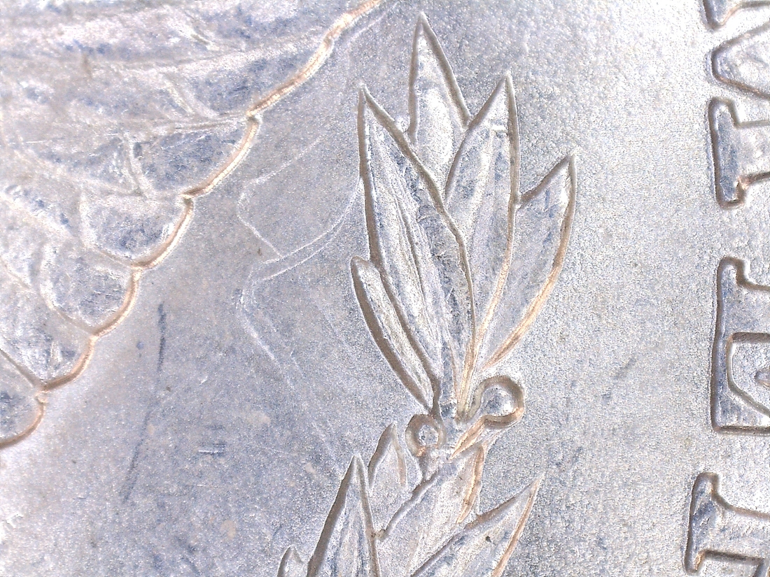 Image 13