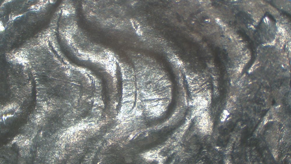 Image 14