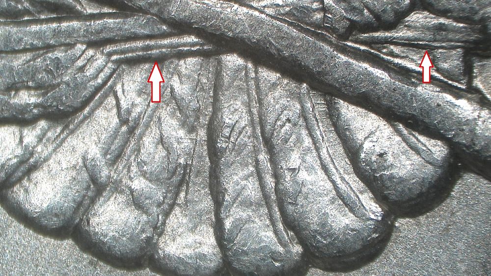 Image 22