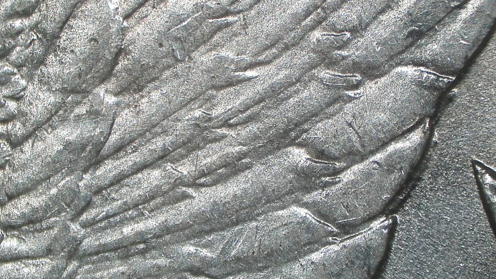 Image 25
