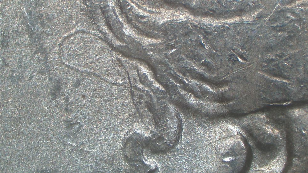 Image 13