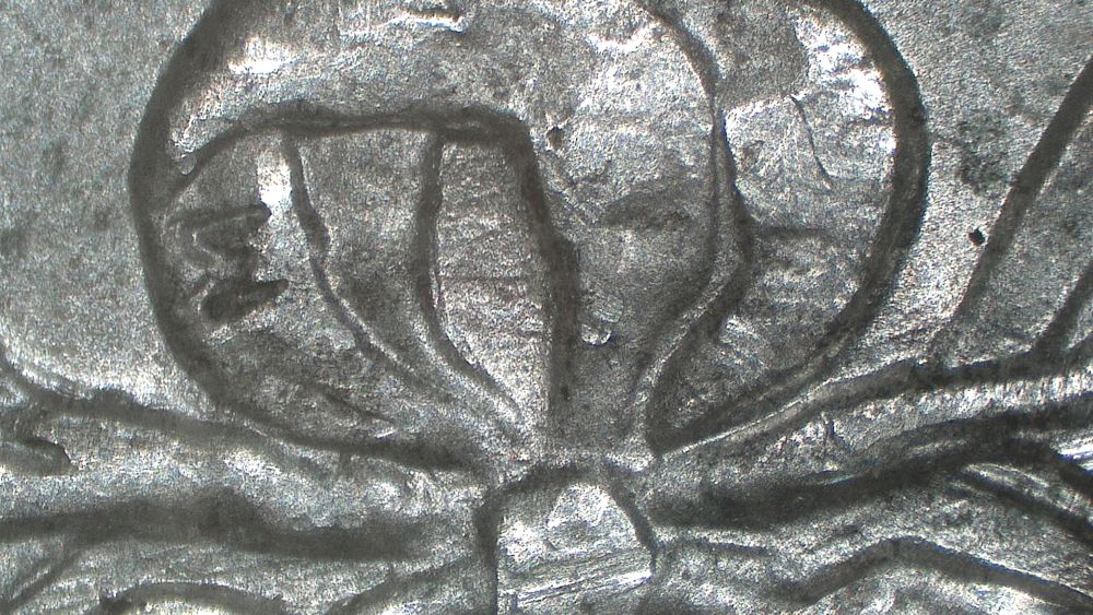Image 9