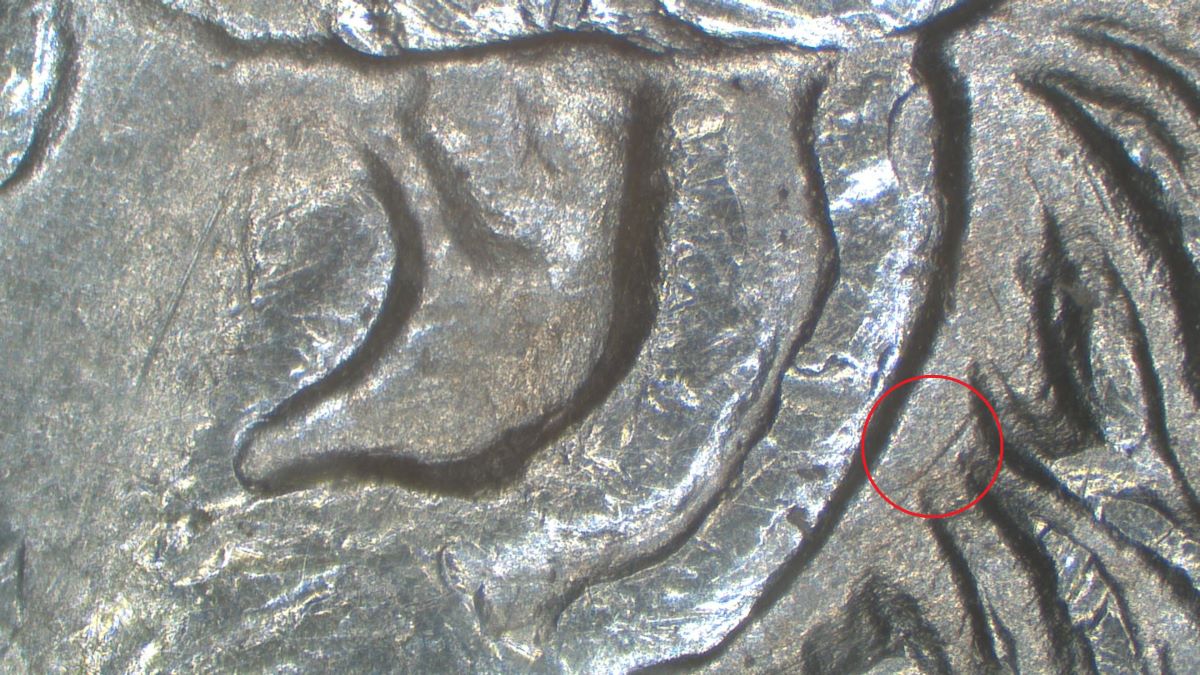 Image 9