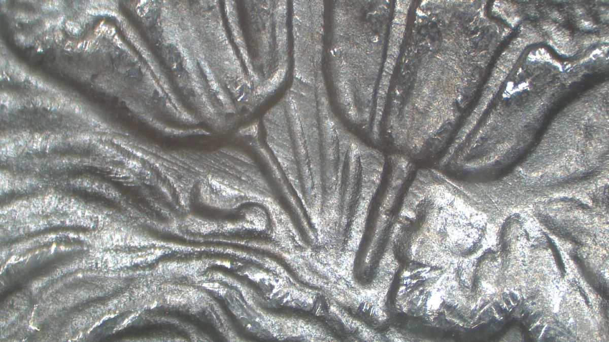 Image 9