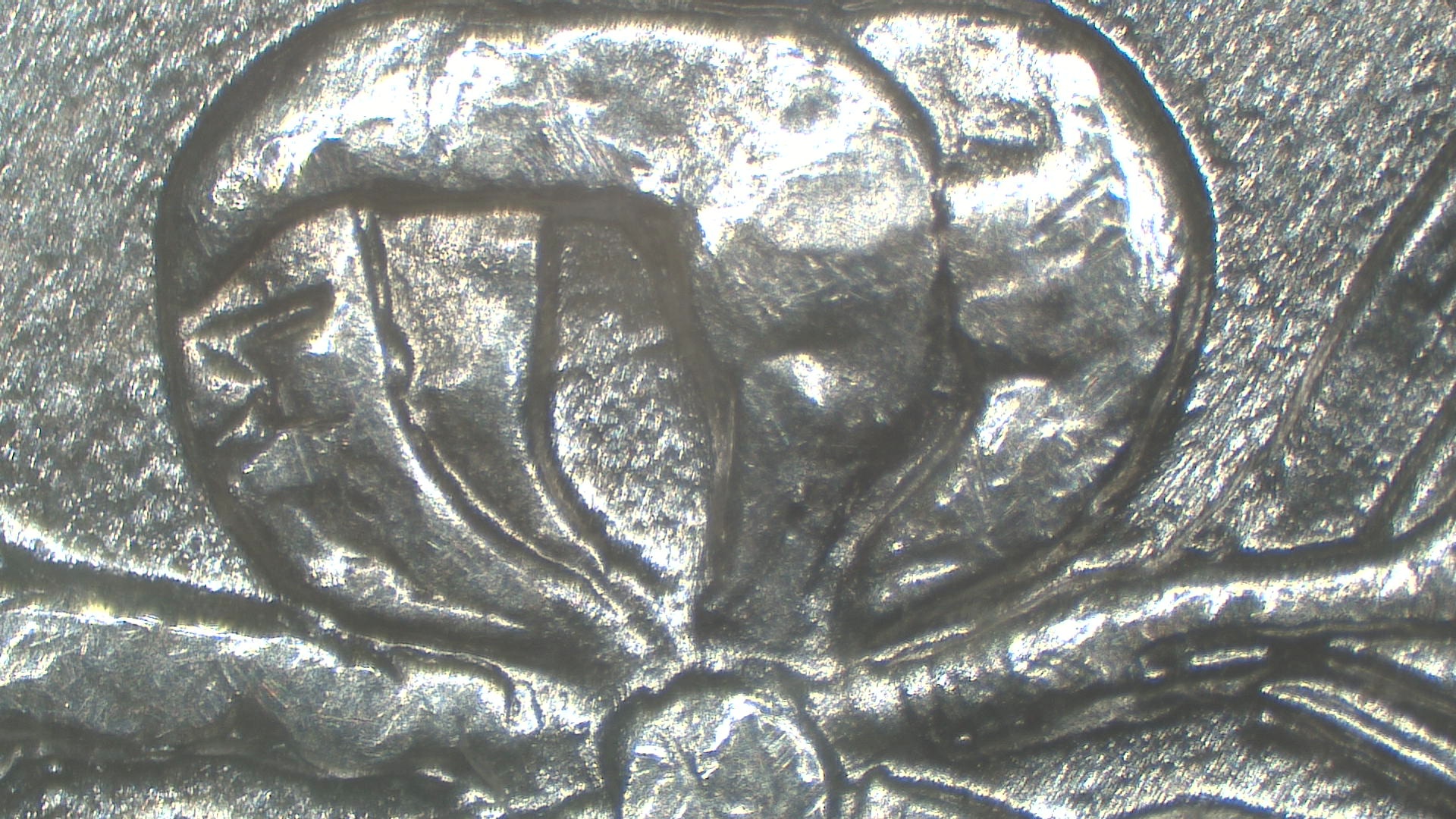 Image 14