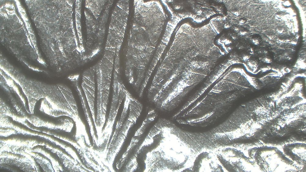 Image 14