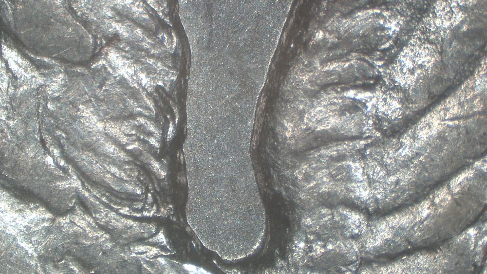 Image 15