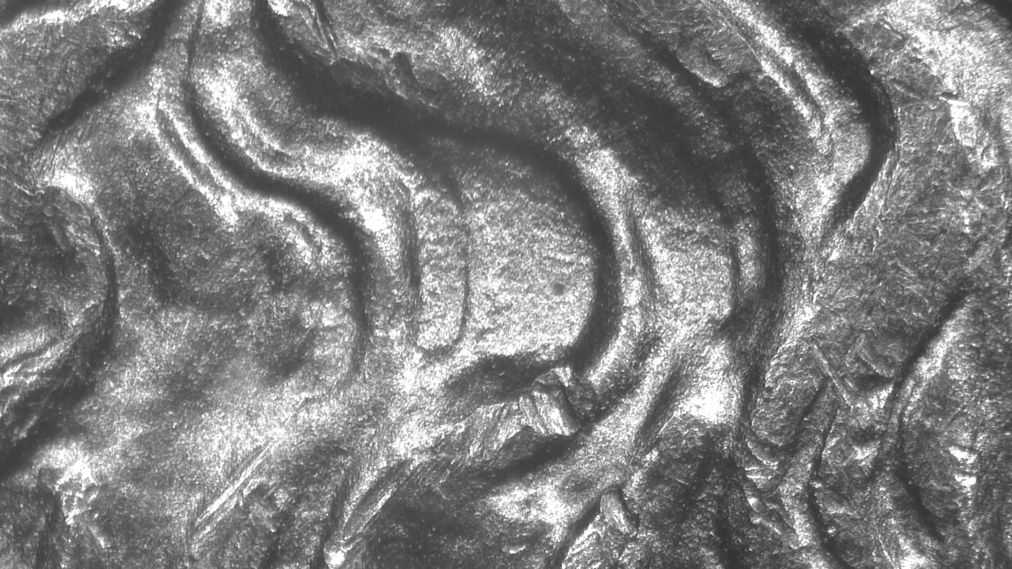 Image 17