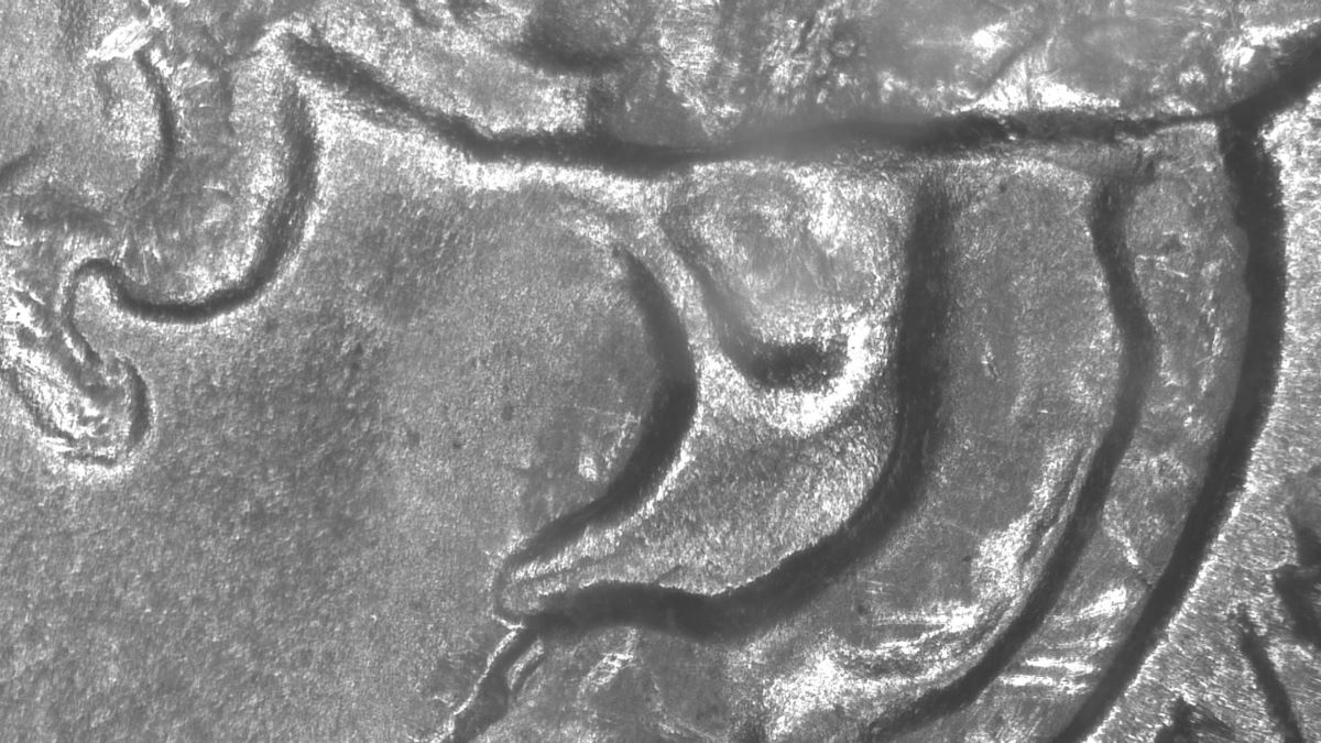 Image 8