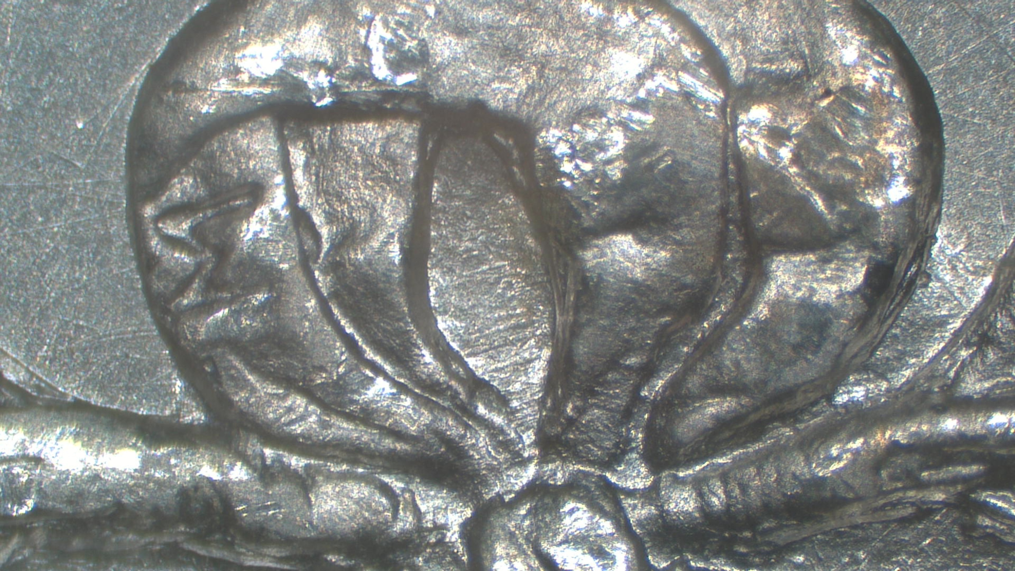 Image 14