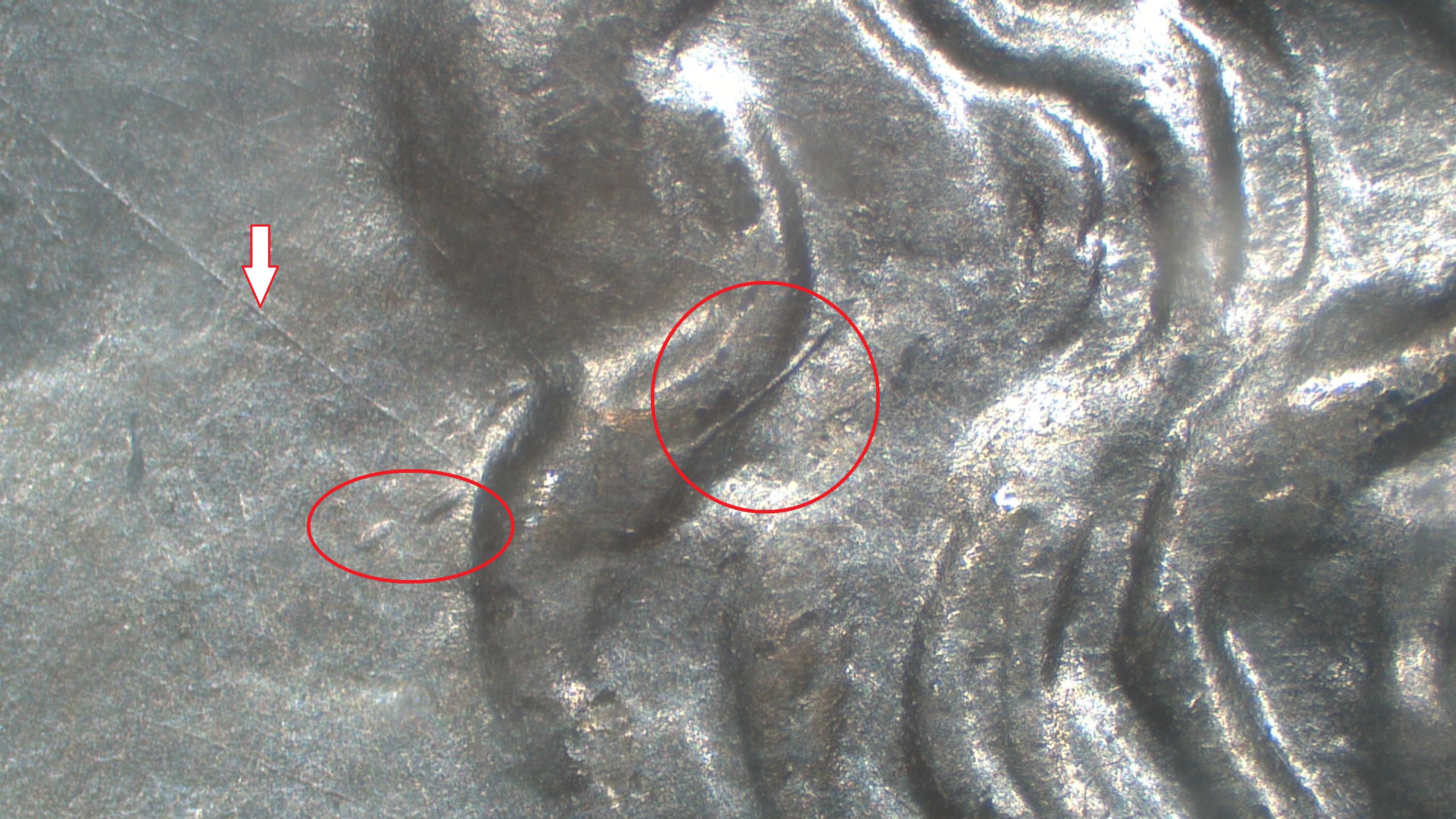 Image 13