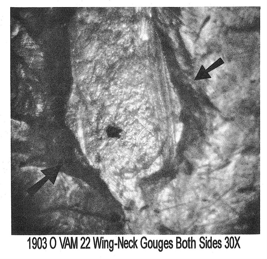 Image 31