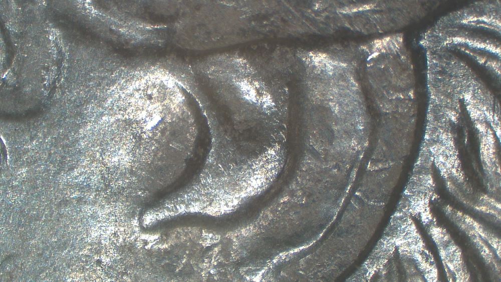 Image 29