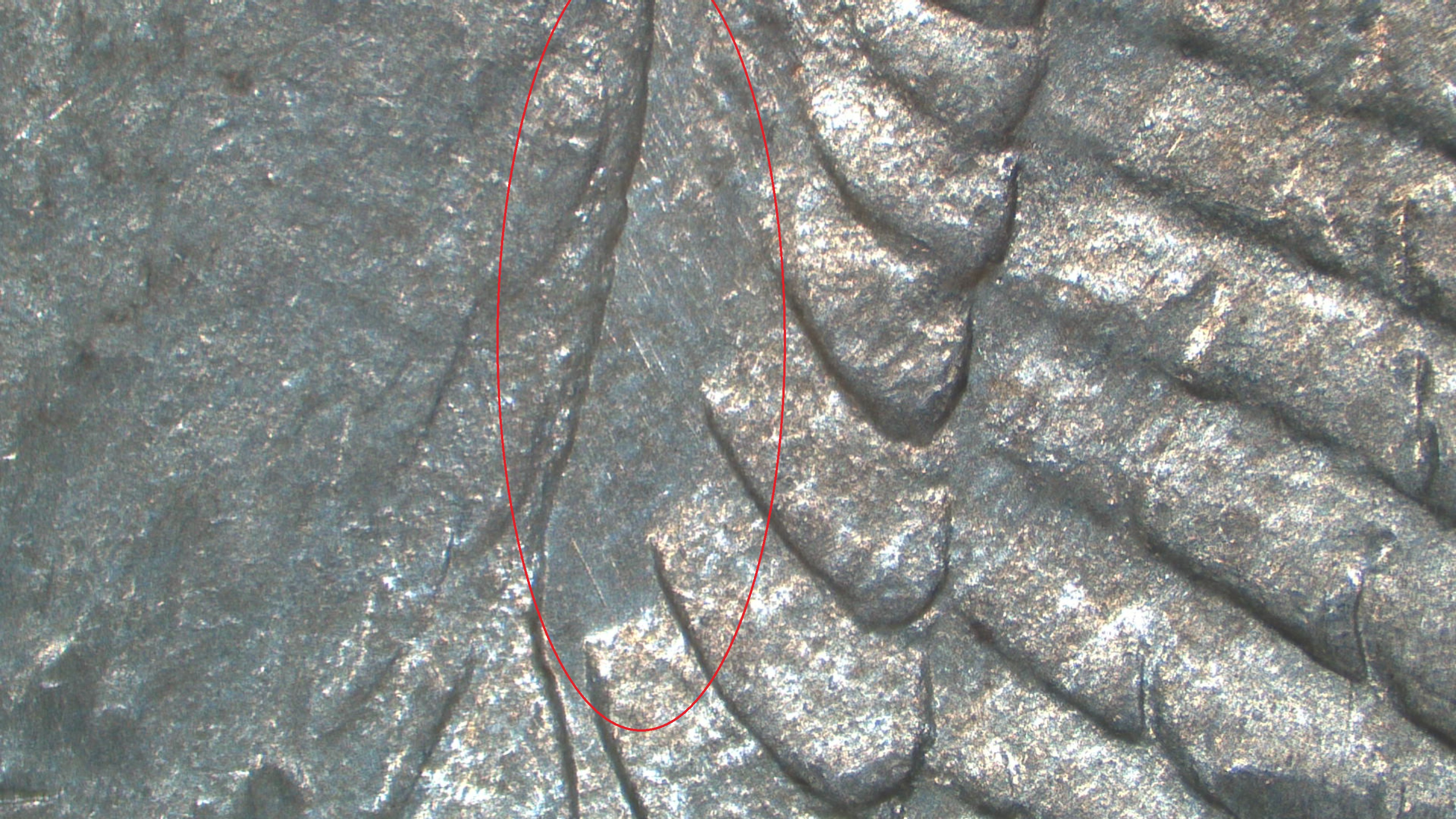 Image 23