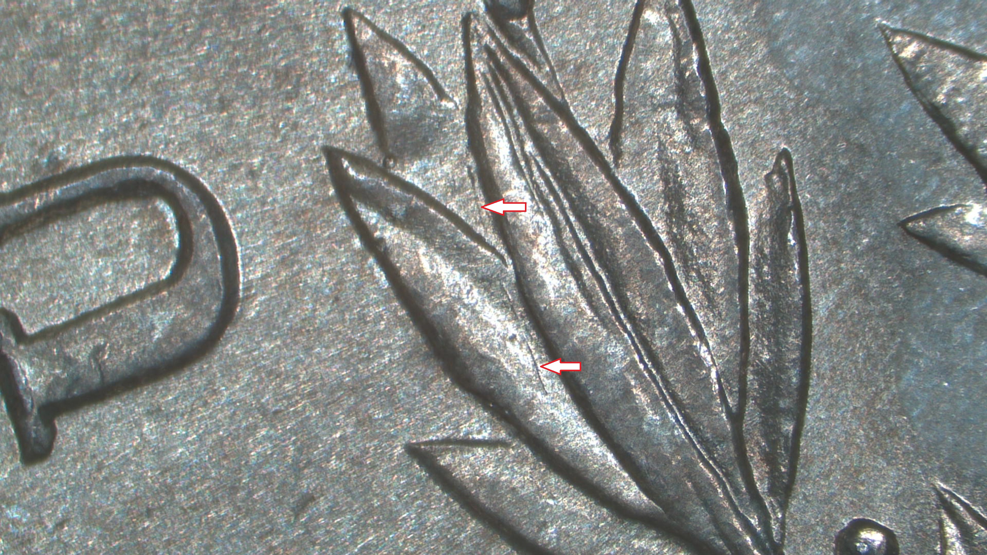 Image 25