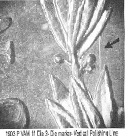 Image 20