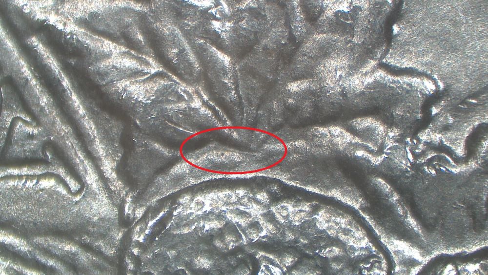 Image 20