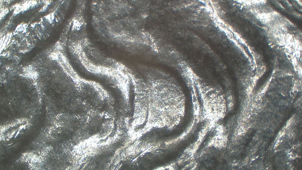 Image 13