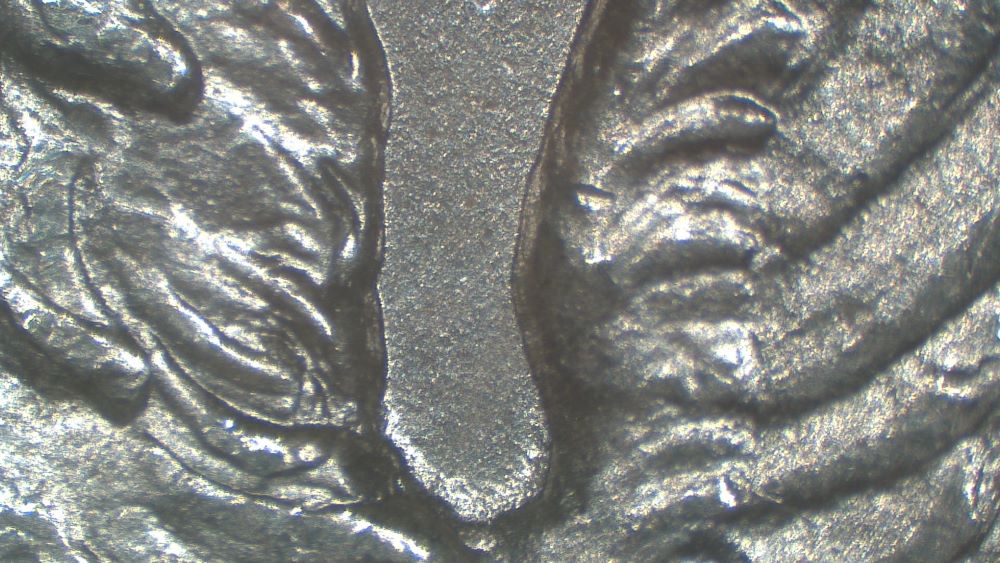 Image 19