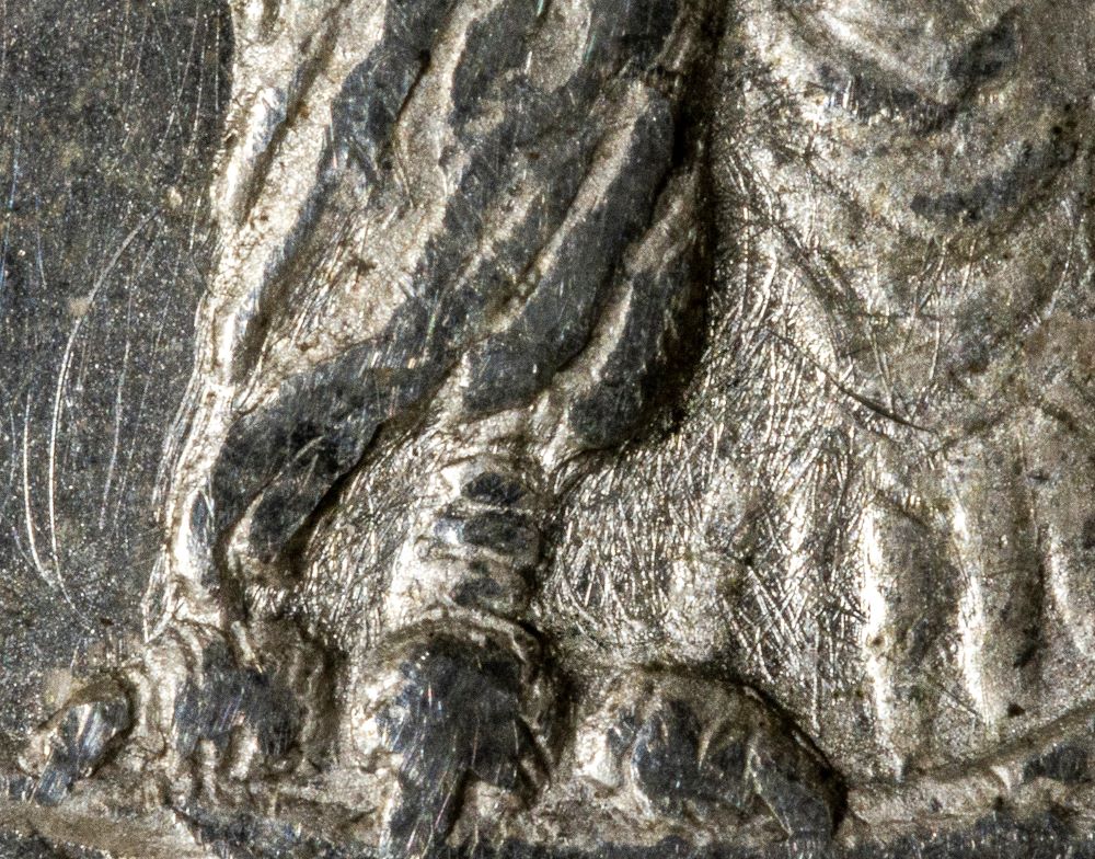 Image 14