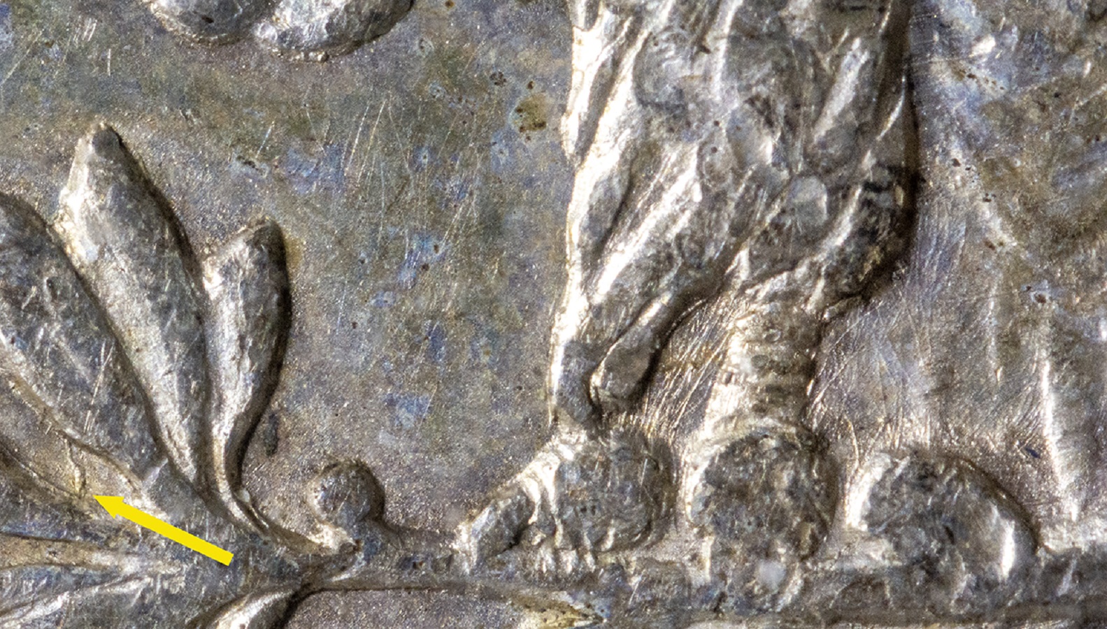 Image 4