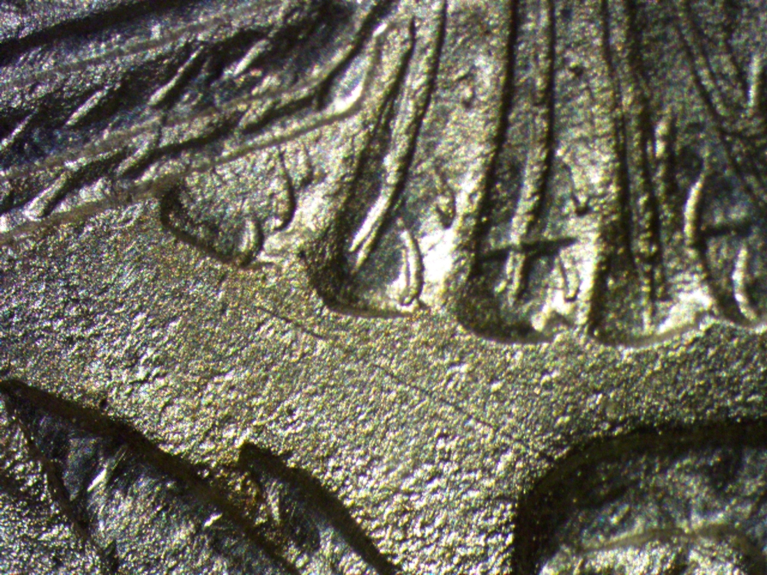 Image 16