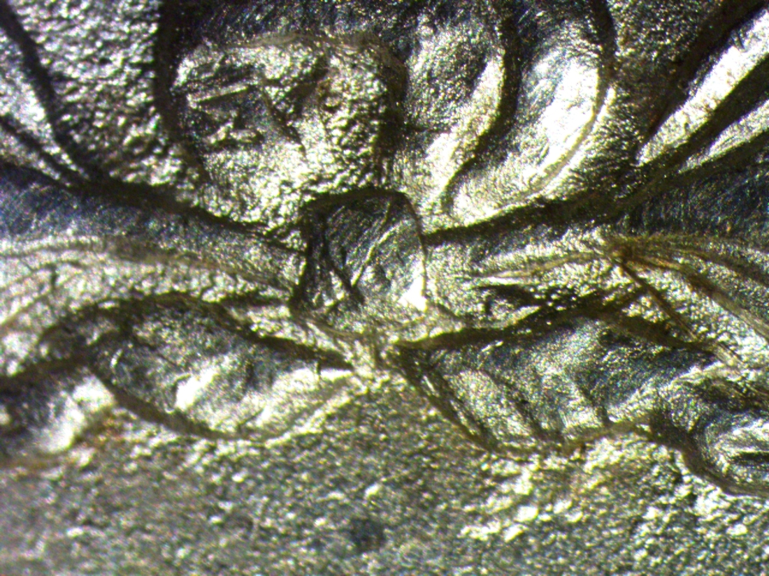 Image 15