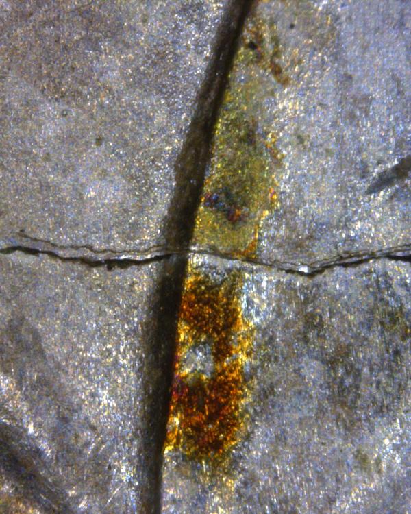 Image 10