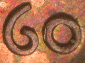 Image 54