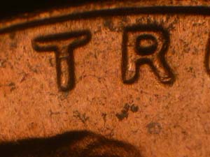 Image 58