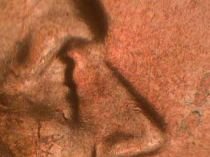 Image 33