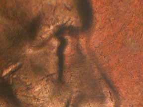 Image 23
