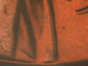 Image 24