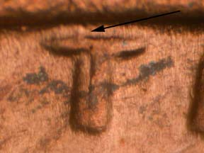 Image 65