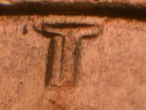 Image 66